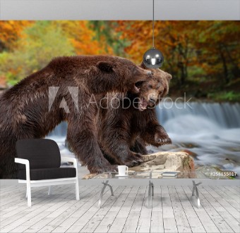 Picture of Two big brown bears standing on stone